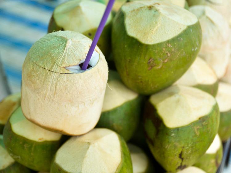 Fresh Coconuts for Commercial Use