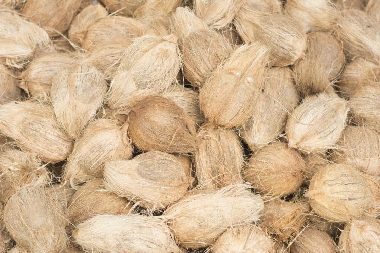 Husked Coconut