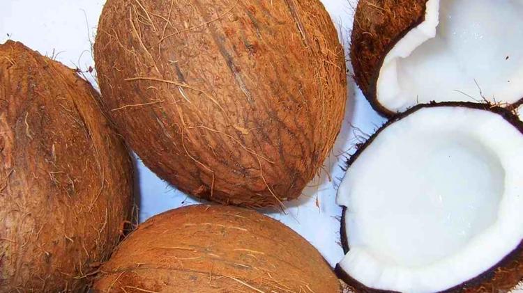 Matured Coconuts
