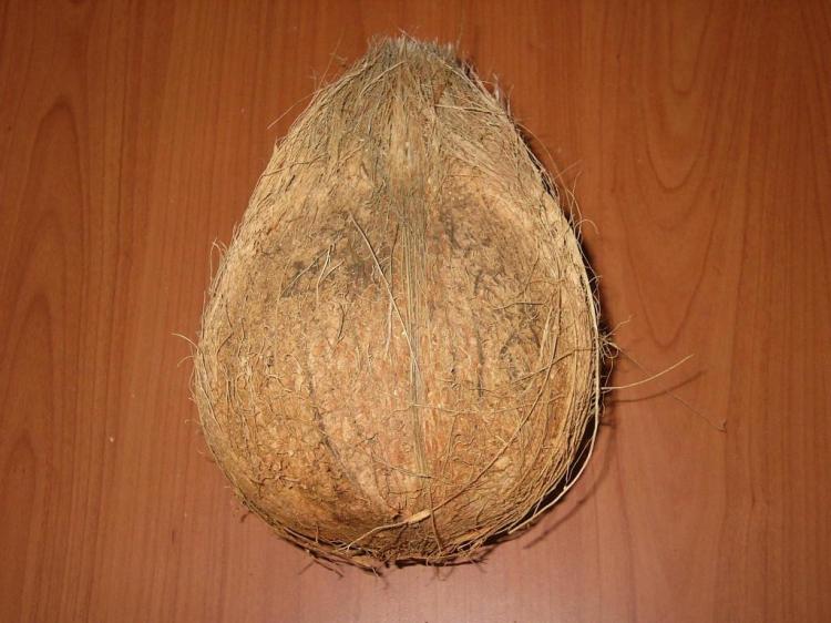 Semi Husk Coconuts